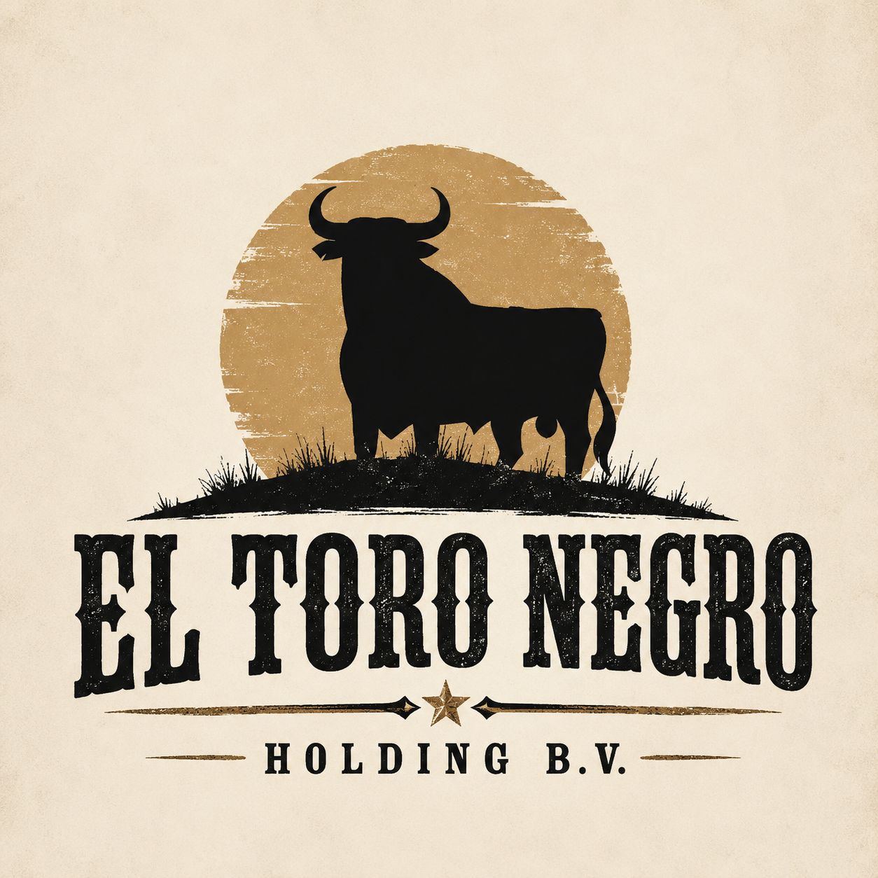 Toro Negro Holding BV